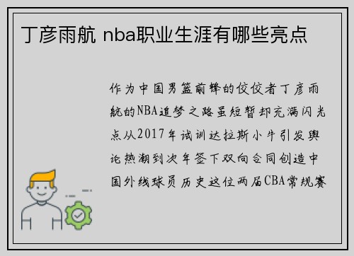 丁彦雨航 nba职业生涯有哪些亮点